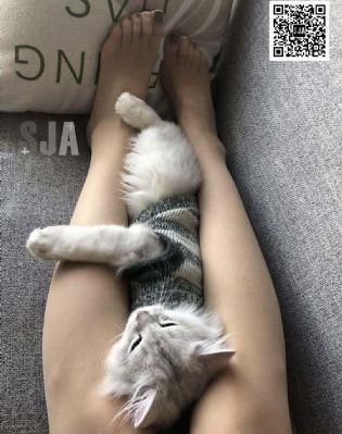 国产双飞_剧情片在线观看完整版